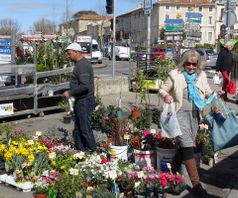 Blomstermarked i Carpentras